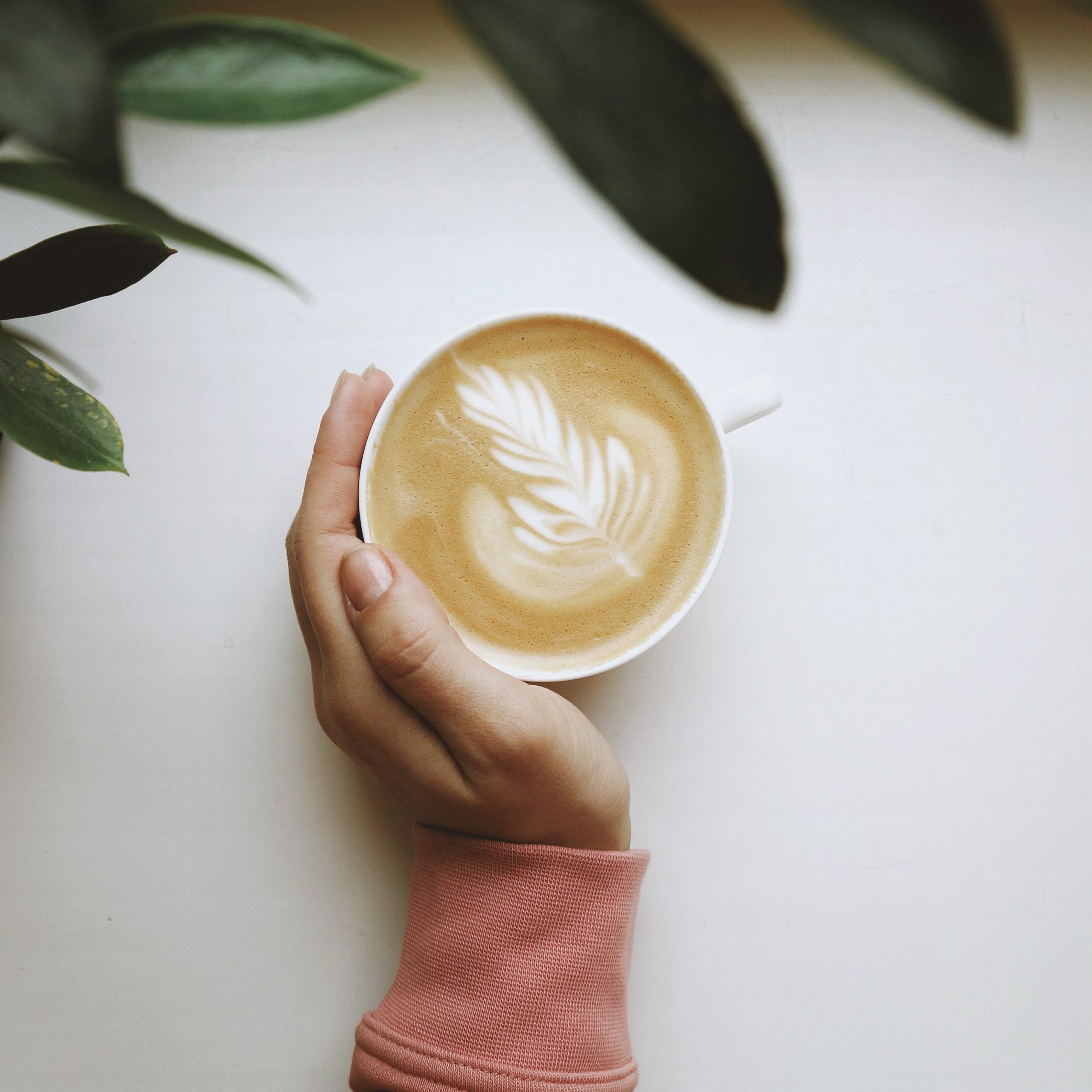 latte with leaf pattern