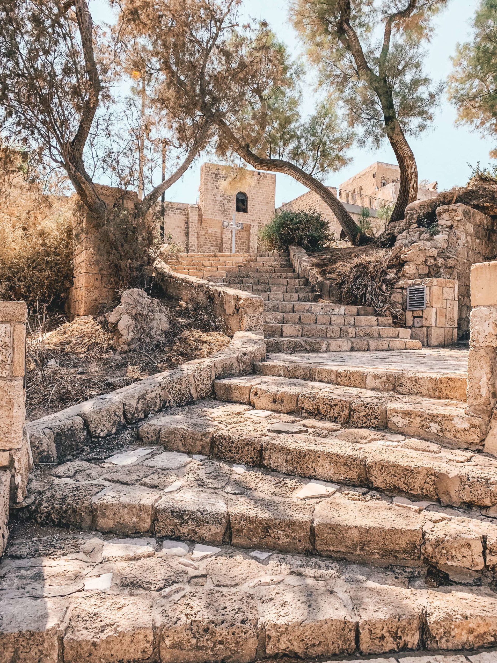 the Garden of Gethsemane Jerusalem