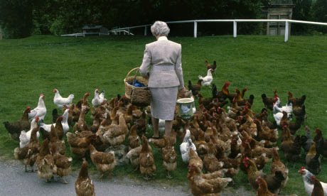 Woman and chickens