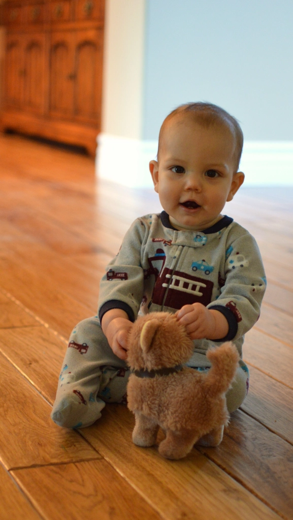 little boy and toy dog
