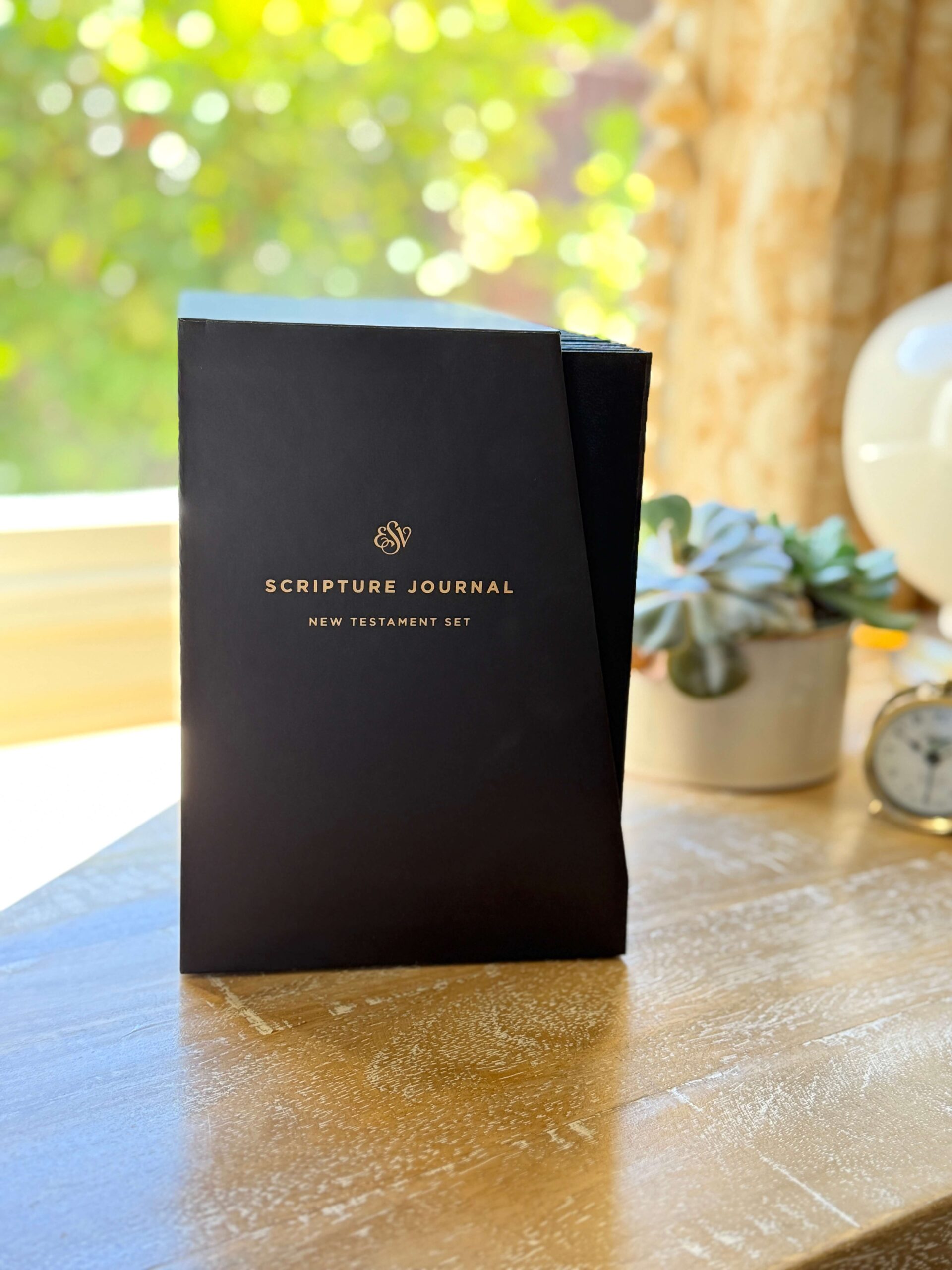 Scripture Journal box set